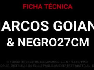 Marcos goiano - i madh e zezë bosht 27 cm qij mua pambrojtur dhe derdhje jashtë